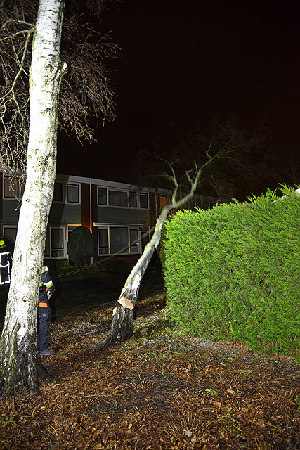 2015/6/GB 20150109 003 Stormschade Pascalstraat.jpg